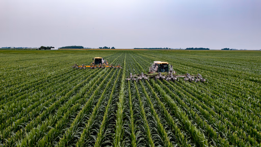 Tratores trabalhando em plantação